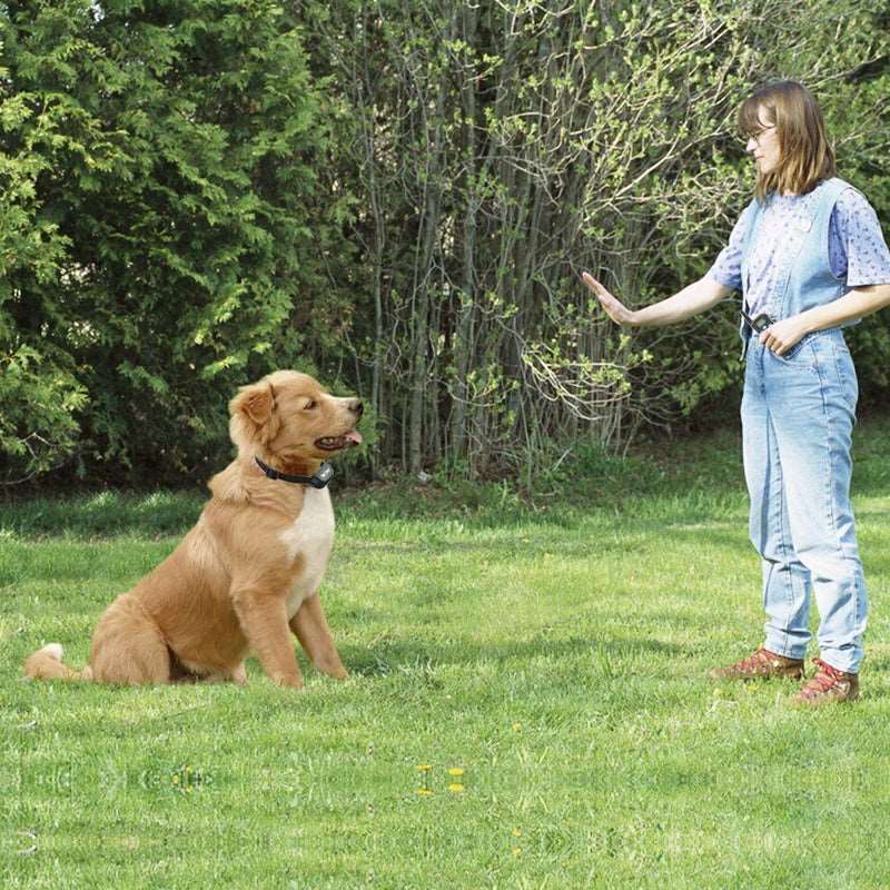 330 Yards Remote Control Dog Shock Training Collar- USB Rechargeable_10