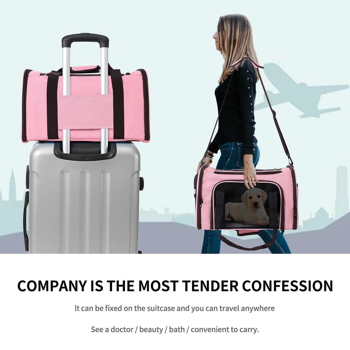 Mile High Life | Outdoor Travel Pet Carrier | Kitty Puppy Cat Carriers | Collapsible Dog Carrier for Small Medium Dogs | Cat Crates w Breathable Mesh with Soft-Sided
