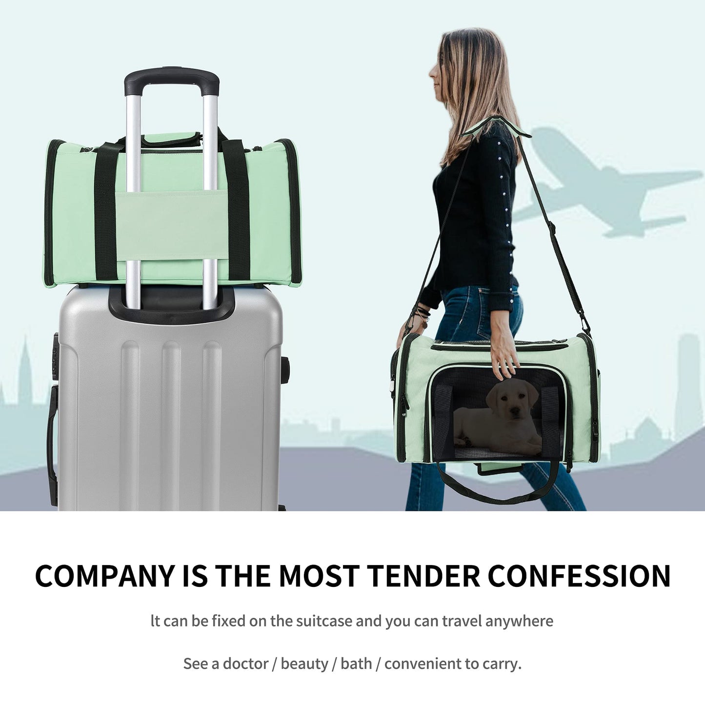 Mile High Life | Outdoor Travel Pet Carrier | Kitty Puppy Cat Carriers | Collapsible Dog Carrier for Small Medium Dogs | Cat Crates w Breathable Mesh with Soft-Sided