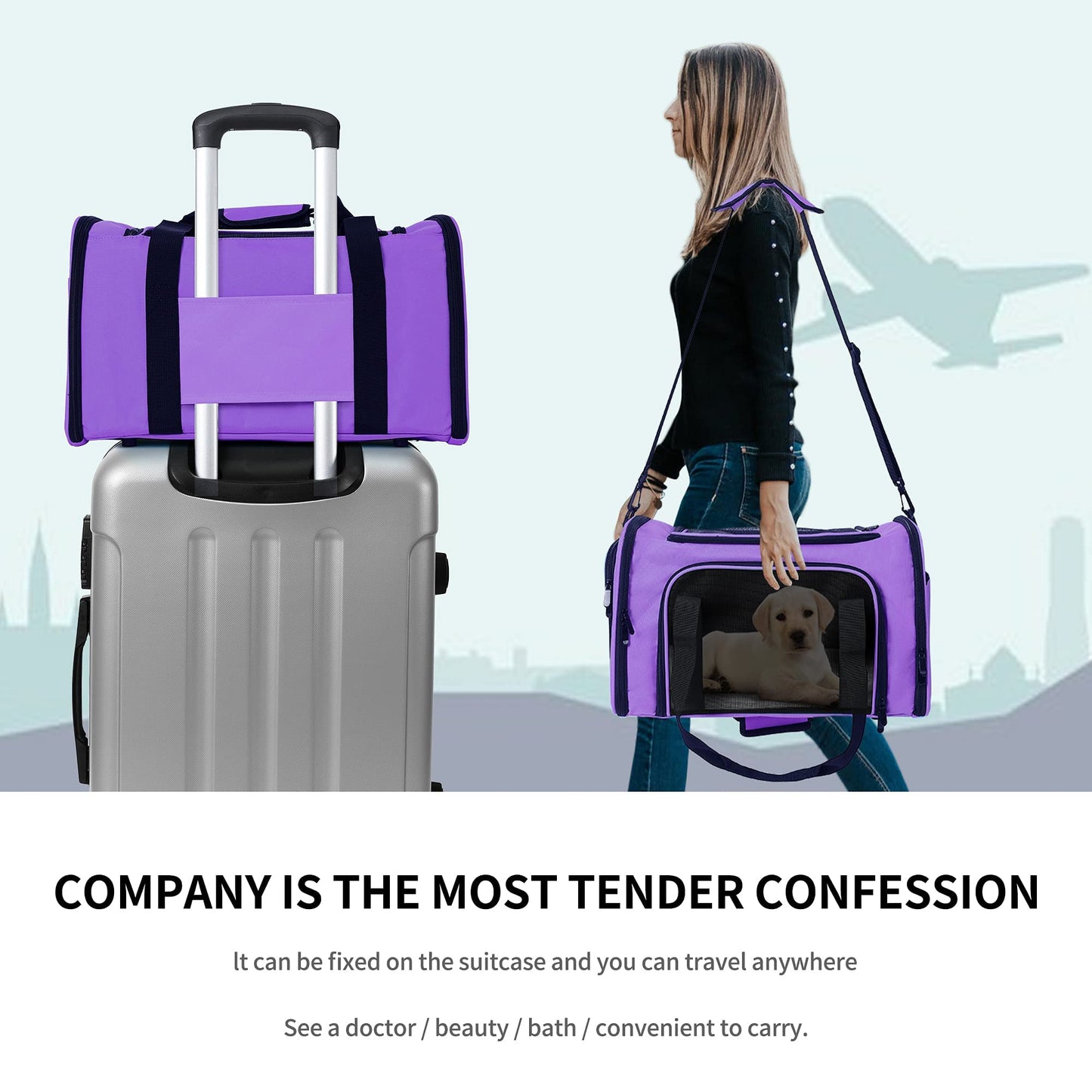 Mile High Life | Outdoor Travel Pet Carrier | Kitty Puppy Cat Carriers | Collapsible Dog Carrier for Small Medium Dogs | Cat Crates w Breathable Mesh with Soft-Sided