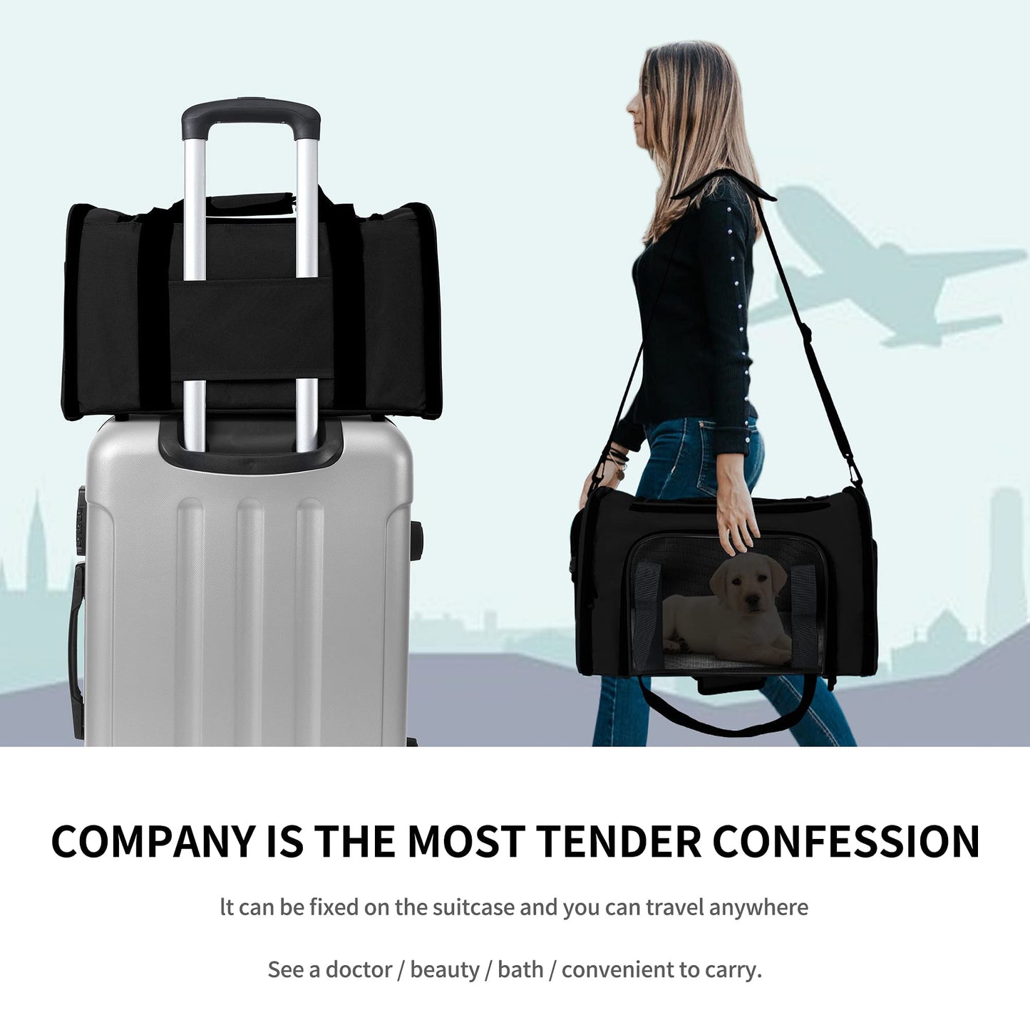 Mile High Life | Outdoor Travel Pet Carrier | Kitty Puppy Cat Carriers | Collapsible Dog Carrier for Small Medium Dogs | Cat Crates w Breathable Mesh with Soft-Sided
