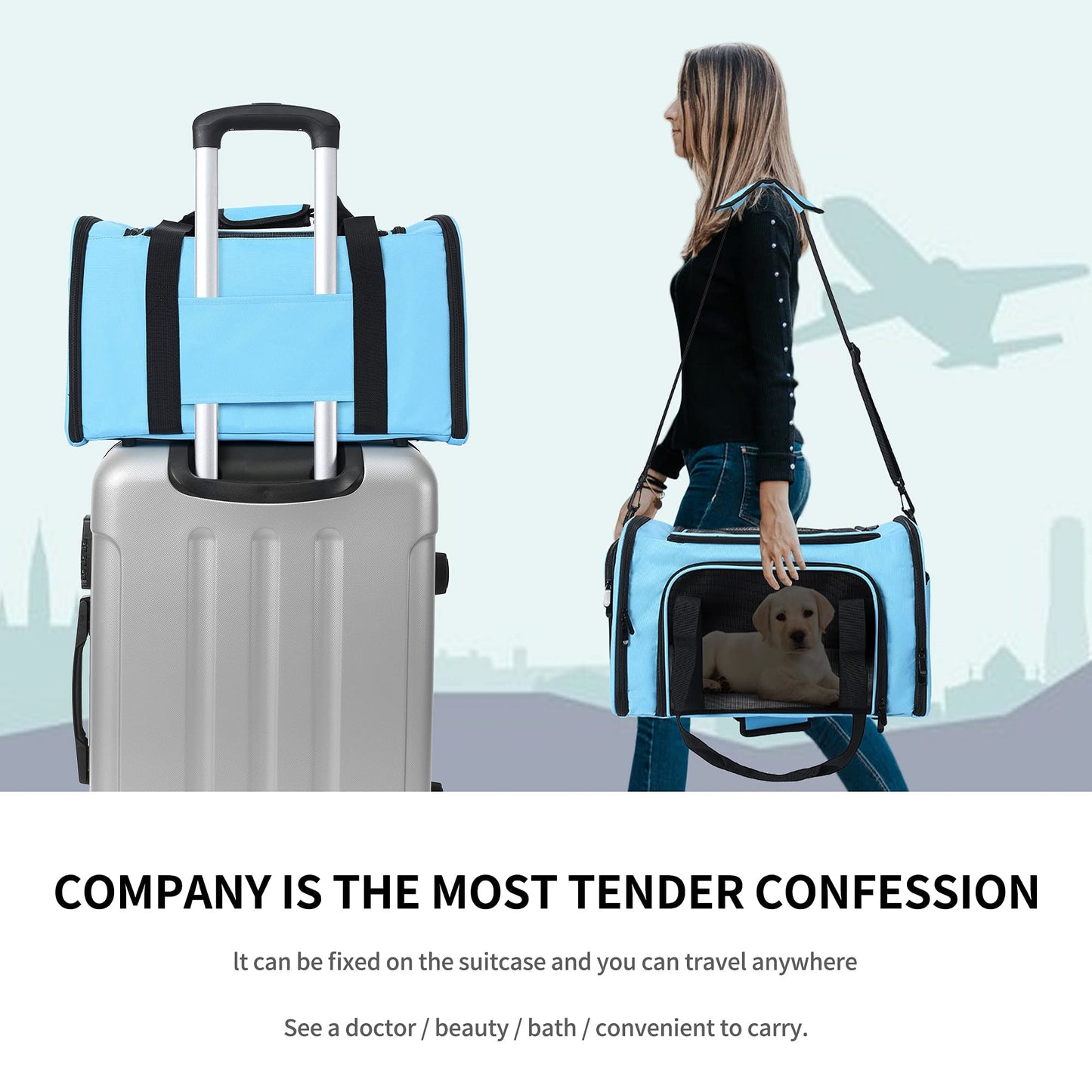 Mile High Life | Outdoor Travel Pet Carrier | Kitty Puppy Cat Carriers | Collapsible Dog Carrier for Small Medium Dogs | Cat Crates w Breathable Mesh with Soft-Sided