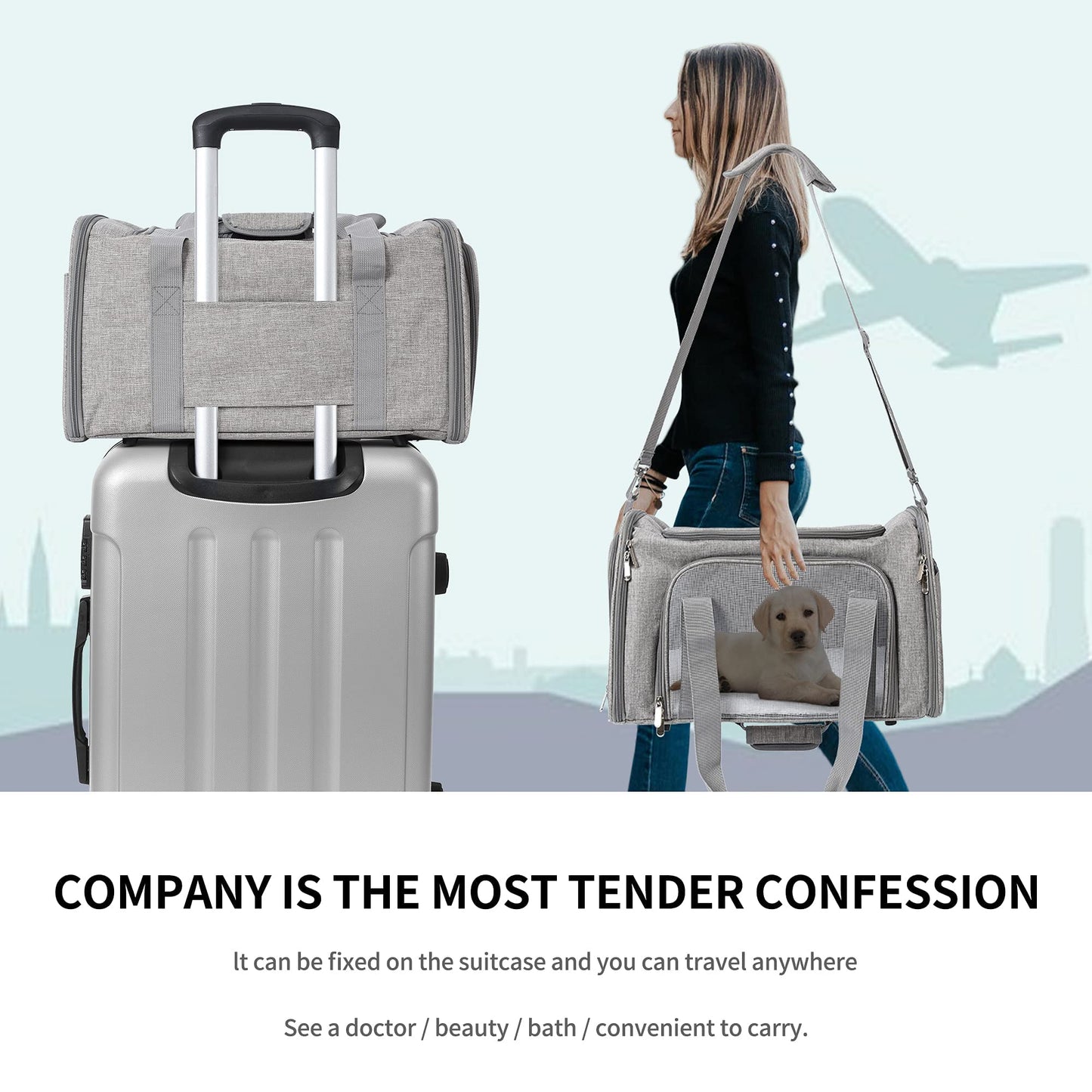 Mile High Life | Outdoor Travel Pet Carrier | Kitty Puppy Cat Carriers | Collapsible Dog Carrier for Small Medium Dogs | Cat Crates w Breathable Mesh with Soft-Sided