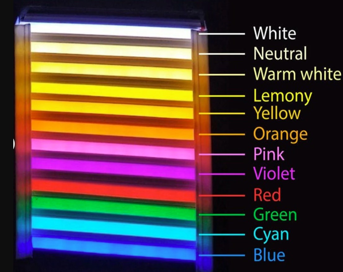 Neon Signs Pre-Made & Custom orders (TATTOO)