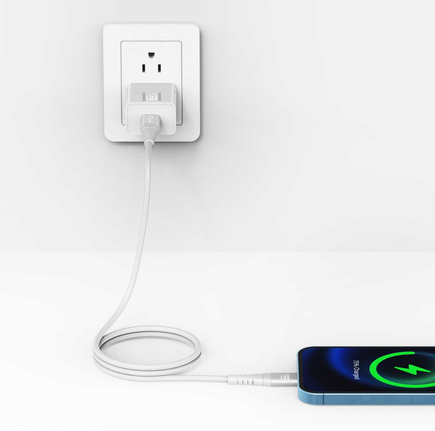 Apple MFi Certified Lightning to USB-C Cable (10ft)
